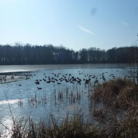 Seeblick Kemnitz Werder  Buitenkant foto